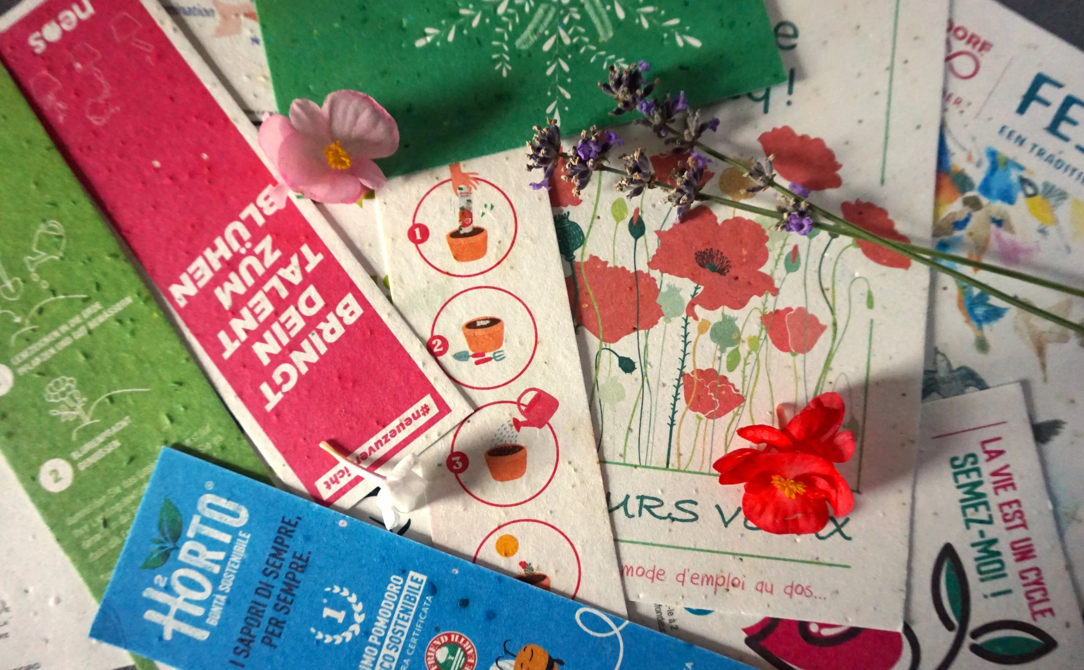 Seeded paper — eco-friendly paper with visible plant seeds